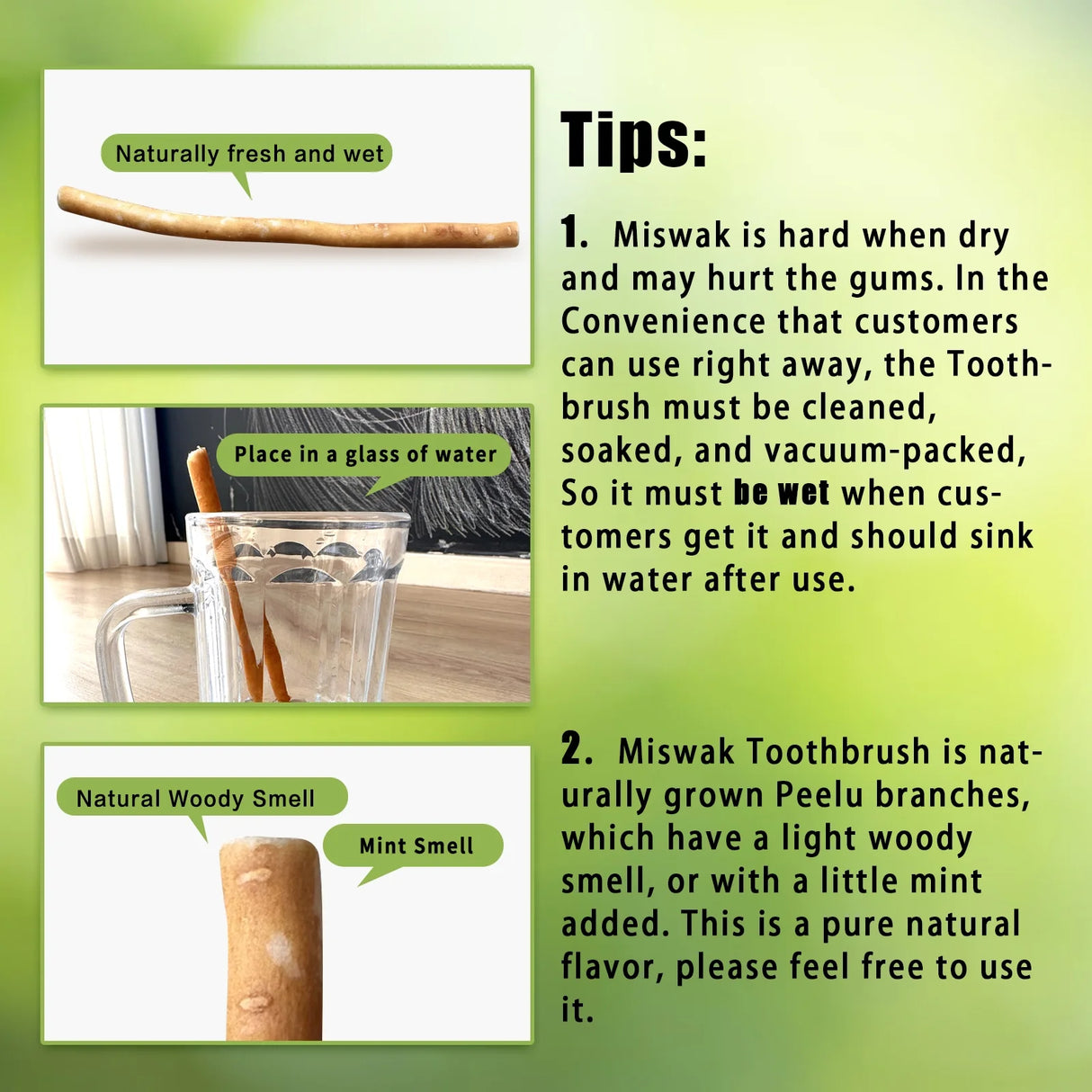 6 Pack Organic Miswak Toothbrushes | All-Natural Wooden Miswak Sticks for Teeth Whitening | Oral Care, Fresh Breath & Eco-Friendly | Original Flavor