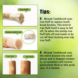 6 Pack Organic Miswak Toothbrushes | All-Natural Wooden Miswak Sticks for Teeth Whitening | Oral Care, Fresh Breath & Eco-Friendly | Original Flavor